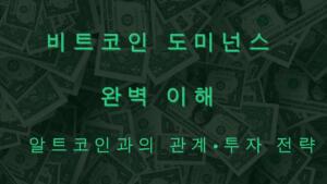 비트코인 도미넌스 완벽 이해 – 알트코인과의 관계·투자 전략