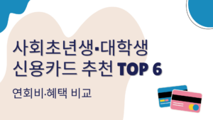 사회초년생·대학생 신용카드 추천 TOP 6 – 연회비·혜택 비교